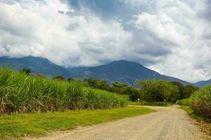 sterrata rurale strada, zucchero canna campo e il paramo de las hermosa montagne a il Valle del cauca regione nel Colombia foto