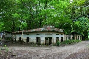 resti di il distrutto case di il armero cittadina coperto di alberi e natura dopo 37 anni di il tragedia causato di il nevado del ruiz vulcano nel 1985 foto