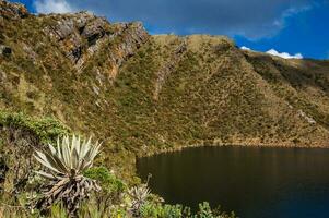 bellissimo paesaggio di colombiano andino montagne mostrando paramo genere vegetazione nel il Dipartimento di cundinamarca foto