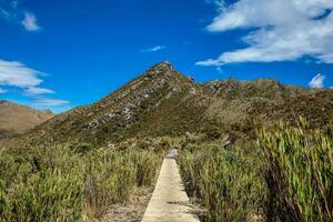 bellissimo paesaggio di colombiano andino montagne mostrando paramo genere vegetazione nel il Dipartimento di cundinamarca foto