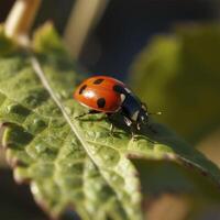 un' coccinella è seduta su un' foglia generativo ai generato foto