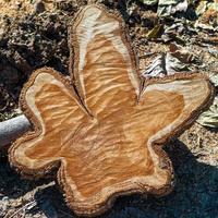 vista ravvicinata di anello invecchiato su un ceppo di legno foto