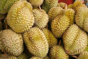 durian nel il mercato.gusto di durian frutta buffet Festival foto