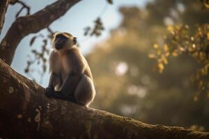 scimmia su superiore di un' albero nel il estate stagione, generativo ai foto