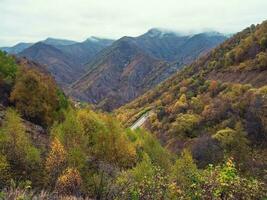 un' stretto sezione di il montagna serpentina è visibile a partire dal un' lui foto