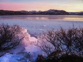 inverno Visualizza di ghiaccio su cespugli vicino un' innevato lago. polare tramonto paesaggio con ghiaccio foto