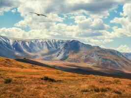 drammatico d'oro leggero e ombra su il roccia nel autunno steppa. alta altitudine altopiano di yeshtykol. altai montagne, Russia. Siberia. foto