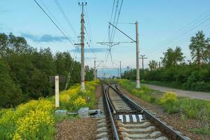 Ferrovia brani di il campagna nel il sera foto