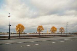 drammatico Visualizza di il autunno città. giallo autunno alberi su il granito argine nel st. pietroburgo. foto