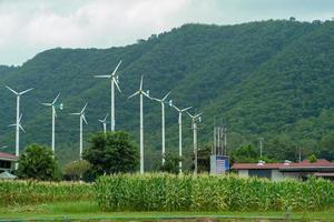 paesaggio della fattoria del mulino a vento per la generazione di elettricità con una montagna sullo sfondo. concetto di energia alternativa e verde. campo di mais dolce nella fattoria dei mulini a vento. foto