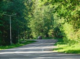 auto cavalcate su avvolgimento autostrada nel un estate foresta foto