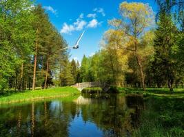 verde parco con ponte al di sopra di stagno. Bellissima, calmante e rilassante Visualizza. foto