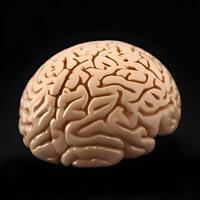 umano cervello modello isolato su nero. generativo ai foto