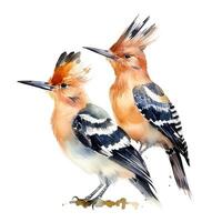 Due upupa uccelli. illustrazione ai generativo foto