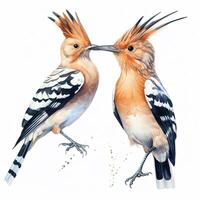 Due upupa uccelli. illustrazione ai generativo foto