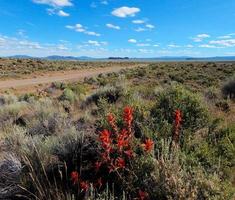 panorama del deserto alto - una vista che guarda a sud lungo la strada del lago cabina con fort rock in lontananza - o foto