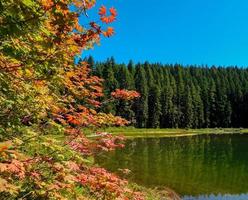 inizio autunno - lago fay - catena delle cascate - a sud di marion fork, o foto