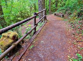 tornante sosta sosta walker ranch trail vicino a cascadia, o foto