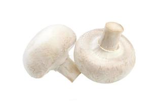 funghi champignon isolati su sfondo bianco foto