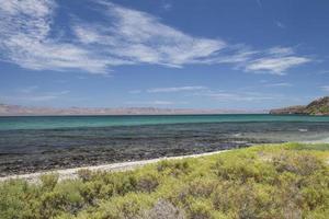 spiaggia con rocce sotto un cielo azzurro e la vegetazione della penisola di baja california a concepcion bahia foto