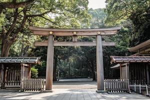 Torii gateway in legno, il tradizionale cancello giapponese al santuario scintoista, meiji-jingu a Tokyo, Giappone. foto