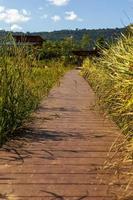a piedi il modo in cui passa il campo di riso alla casa con sfondo di collina.