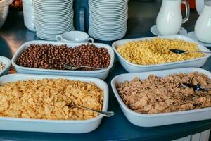 cereale nel grande ciotole per se stesso servizio asciutto Presto prima colazione cibo nel Hotel ristorante selezione . buffet Schermo, ristorazione per brunch pieno delizioso cibo assortimento. foto