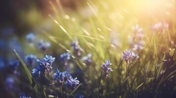 primavera sfondo con blu fiori con il sole splendente su esso foto