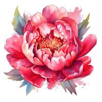 acquerello bellissimo peonia fiore. illustrazione ai generativo foto