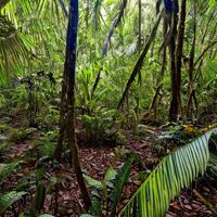 tropicale giungla paesaggio. generativo ai foto