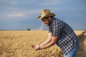 un' contadino l'esame un' Grano campo foto