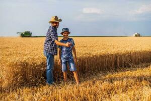 padre e figlio siamo in piedi nel loro Grano campo foto