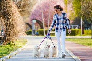 donna a piedi sua cani foto