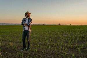 un' contadino in piedi nel un' Mais campo foto