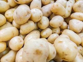 patate su una bancarella in un mercato aperto a rio de janeiro