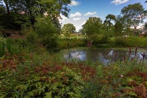 stagno di acqua con vegetazione lussureggiante a heaton park, manchester foto