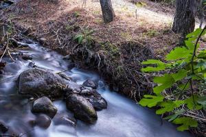 flusso di acqua pura con flusso regolare su terreno di montagna rocciosa nella foresta di kakopetria a troodos cipro foto