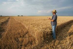 un' contadino l'esame un' Grano campo foto