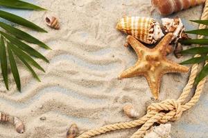 conchiglie e stelle marine nella sabbia