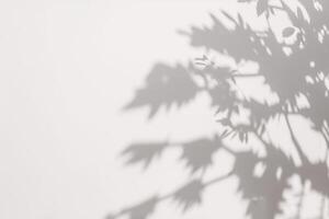 un' ombra di un' albero su un' bianca parete. ai generato foto