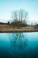 albero e cielo riflessione nel acqua foto