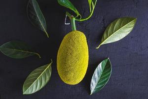 jackfruit e foglie, jackfruit su sfondo nero foto