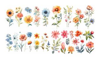 acquerello fiori impostare. botanico collezione di selvaggio e giardino impianti. generativo ai foto