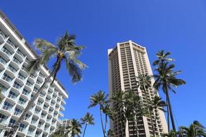 hotel di lusso e palme sulla spiaggia di waikiki alle hawaii foto