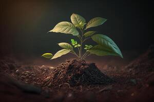 pianta in crescita nel azienda agricola terra o foresta con luce del sole a giorno. giovane pianta è in crescita. mondo terra giorno. mondo ambiente giorno. terra conservazione, ecologia o globale riscaldamento di ai generato foto