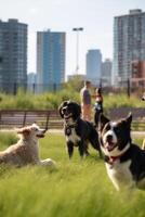 un' imballare di giocoso cani nel un urbano cane parco ai generato foto