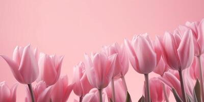 elegante rosa tulipani su un' morbido rosa sfondo ai generato foto