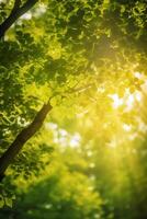 baciato dal sole baldacchino un' Visualizza di lussureggiante verde Treetops con sole raggi penetrante attraverso il le foglie ai generato foto