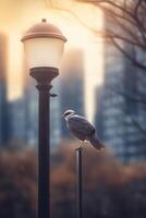 urbano natura maestoso uccello su un' città lampada inviare a crepuscolo ai generato foto