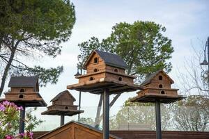 un' stanco birdhouse fatto di Di legno, dipinto Marrone, in cima un' alto polo con un' blu cielo nel il sfondo. foto